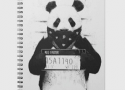 #NewMusic BubbleEye – Panda (Mubu Mix)