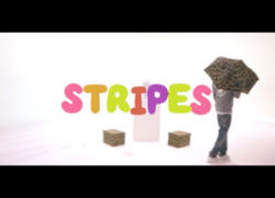 Video: TLC ( @WE_WholesaleEnt & @WholesaleSlimm ) “Stripes”