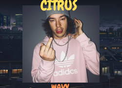 New Music: Citrus – Wavy