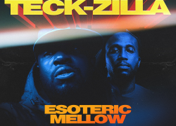 Modenine x Teck-Zilla – Esoteric Mellow (LP)