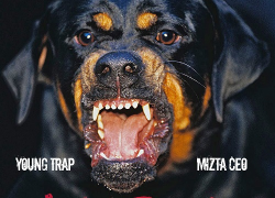 Young Trap – I’m a Dog (Single & Video) @YoungTrapMuzic