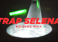 Big Dawg Mula -Trap Selena | @bigdawgmula