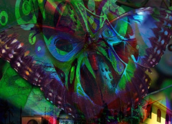 T.U. Savant – “Supercalifragilisticexpialido” T.U. Savant – “Supercalifragilisticexpialido”