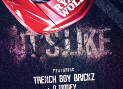 [VIDEO] DJ Ryan Wolf feat. Trenchboy Brickz & Q Money – “It’s Like”