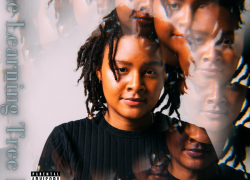 Album: AMEA (@AMEAMusic) – The Learning Tree II Album: AMEA (@AMEAMusic) – The Learning Tree II