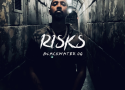 Blackwater OG – Risks | @blackwater_og