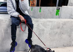 Mare is Back and Better Than Ever Mare is Back and Better Than Ever