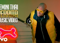 Gemini Thai Drops ‘Perrita’ Music Video