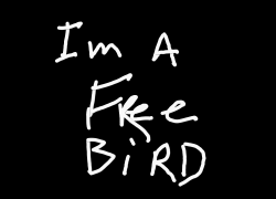 Hobby – Free bird | @hobbythisisme