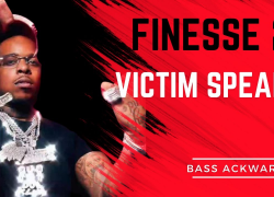 FINESSE2X WITNESS & VICTIM SPEAK!! | #finesse2tymes #finesse2x 