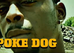 Poke Dog x DS – Support Our Trap Poke Dog x DS – Support Our Trap